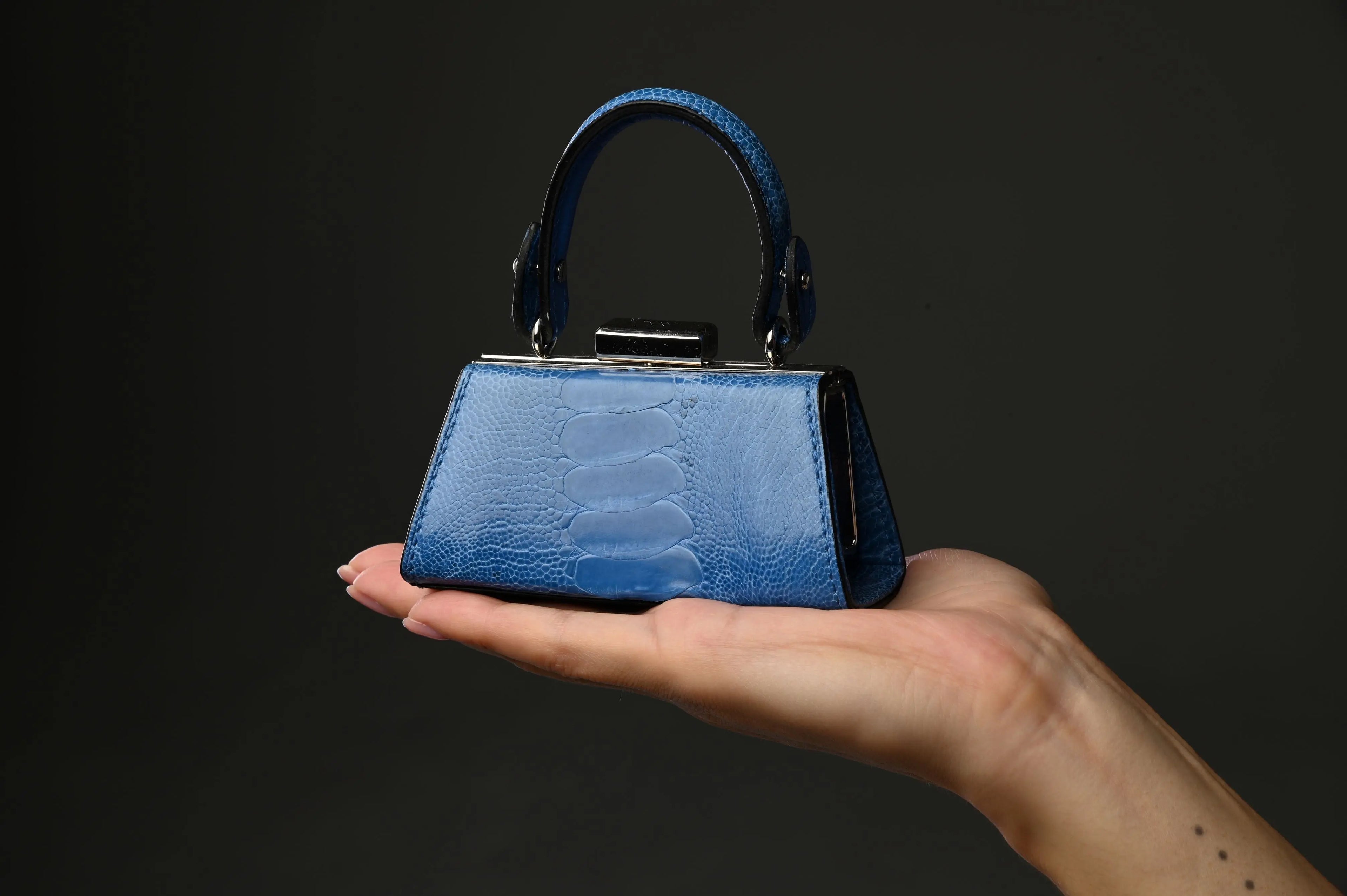 Black Nevada Ostrich Leather Micro Bag Bellabags Bellabags